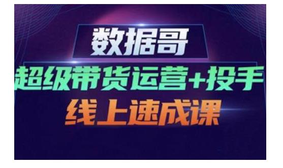 数据哥·超级带货运营 投手线上速成课，快速提升运营和熟悉学会投手技巧-往来项目网