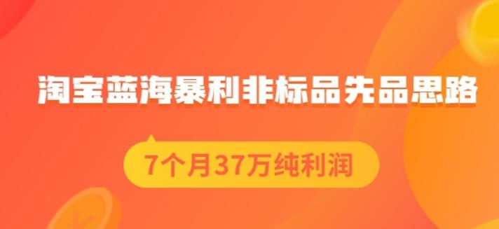 盗坤淘宝蓝海暴利非标品先品思路，7个月37万纯利润，压箱干货分享！【付费文章】-往来项目网