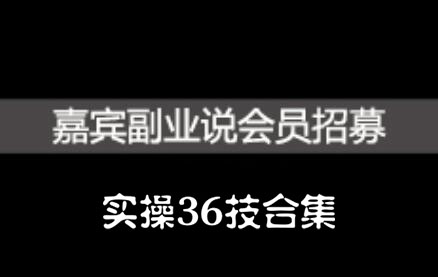 嘉宾副业说实操36技合集，价值1380元-往来项目网