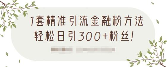 1套精准引流金融粉方法，轻松日引300 粉丝【视频课程】-往来项目网