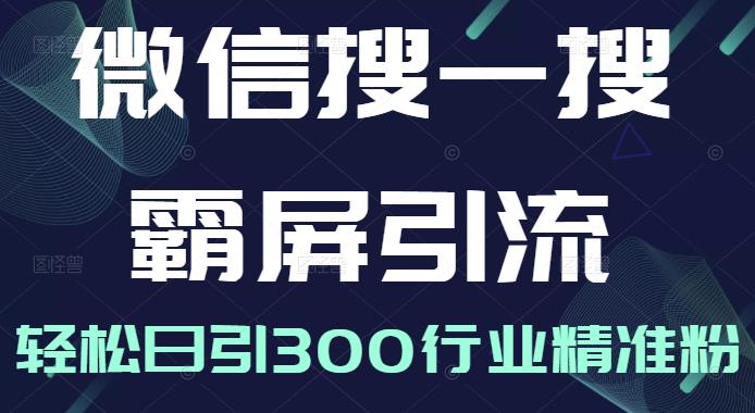 微信搜一搜霸屏引流课，打造被动精准引流系统，轻松日引300行业精准粉【无水印】-往来项目网