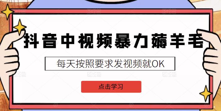 2022抖音中视频暴力薅羊毛白嫖项目：新号每天20块，老号几天几百块，可多号-往来项目网