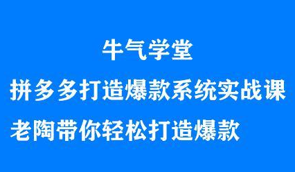 牛气学堂拼多多打造爆款系统实战课，老陶带你轻松打造爆款-往来项目网