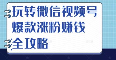 玩转微信视频号爆款涨粉赚钱全攻略，让你快速抓住流量风口，收获红利财富-往来项目网