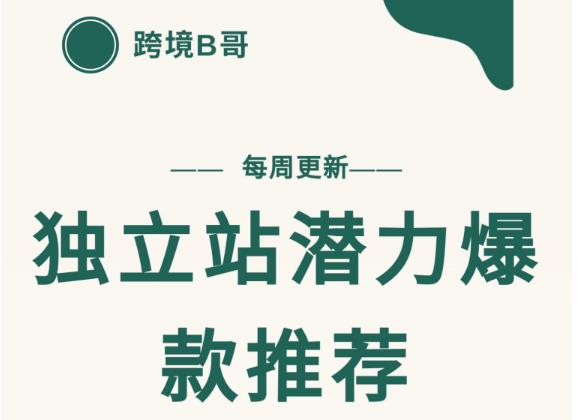 【跨境B哥】独立站潜力爆款选品推荐，测款出单率高达百分之80（每周更新）-往来项目网