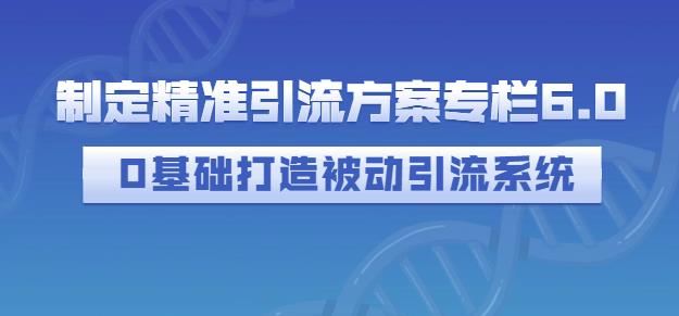 制定精准引流方案专栏6.0，0基础打造被动引流系统-往来项目网