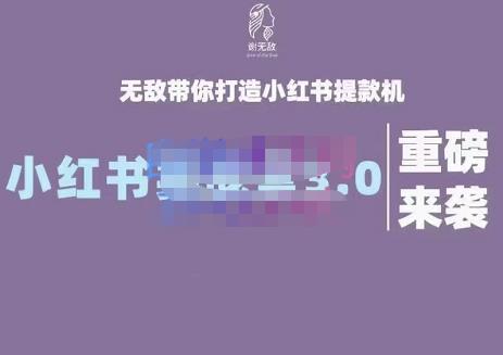 谢无敌·小红书实战营3.0，无敌带你打造小红书提款机 价值7999元-往来项目网