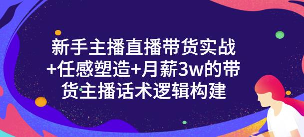 新手主播直播带货实战 信任感塑造 月薪3w的带货主播话术逻辑构建-往来项目网