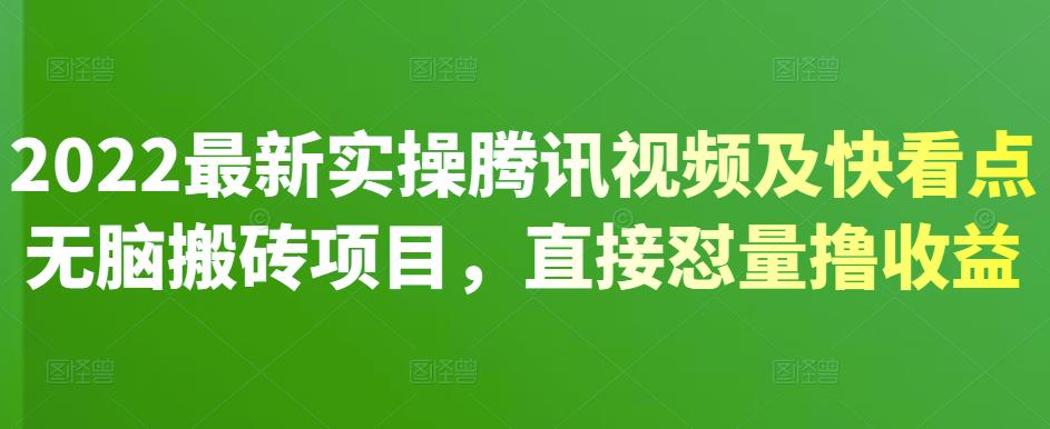 2022最新实操腾讯视频及快看点无脑搬砖项目，直接怼量撸收益-往来项目网