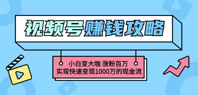 玩转微信视频号赚钱：小白变大咖涨粉百万实现快速变现1000万的现金流-往来项目网