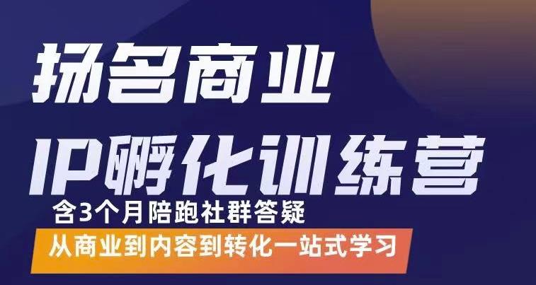 杨名商业IP孵化训练营，从商业到内容到转化一站式学 价值5980元-往来项目网