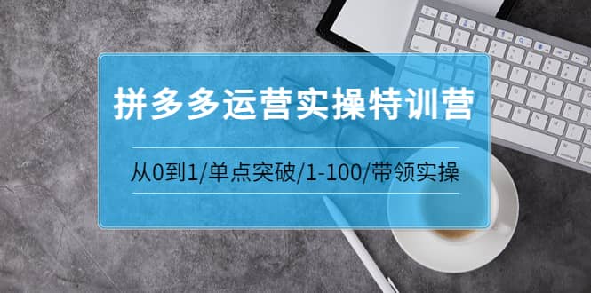 拼多多运营实操特训营：从0到1/单点突破/1-100/带领实操 价值2980元-往来项目网