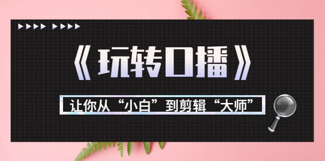 月营业额700万 大佬教您《玩转口播》让你从“小白”到剪辑“大师”-往来项目网