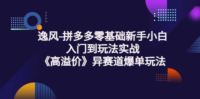 拼多多零基础新手小白入门到玩法实战《高溢价》异赛道爆单玩法实操课-往来项目网