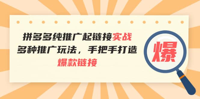 拼多多纯推广起链接实战：多种推广玩法，手把手打造爆款链接-往来项目网