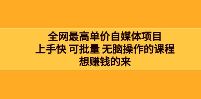 全网最单高价自媒体项目：上手快 可批量 无脑操作的课程，想赚钱的来-往来项目网