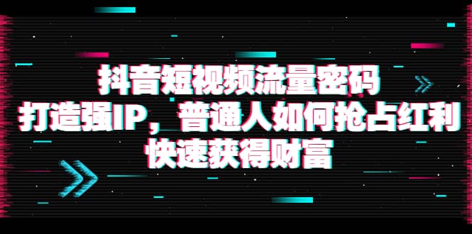 抖音短视频流量密码：打造强IP，普通人如何抢占红利，快速获得财富-往来项目网