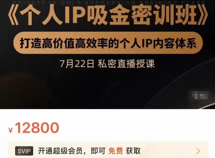 个人IP吸金密训班，打造高价值高效率的个人IP内容体系（价值12800元）-往来项目网