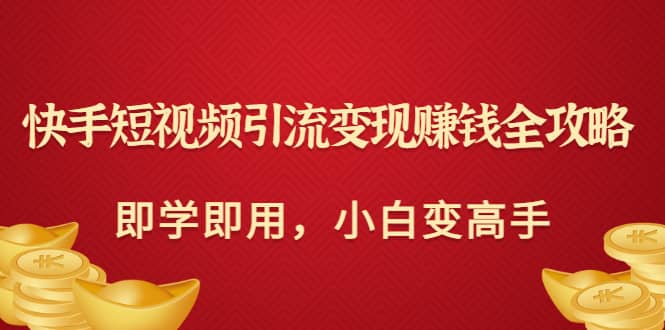 快手短视频引流变现赚钱全攻略：即学即用，小白变高手（价值980元）-往来项目网