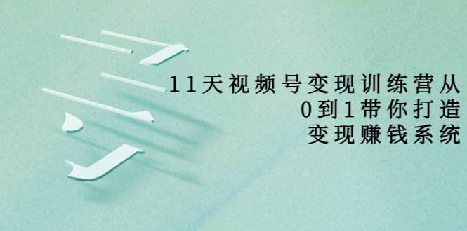 好望角·11天视频号变现训练营，从0到1打造变现赚钱系统（价值398）-往来项目网