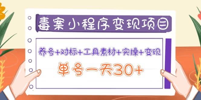 毒案小程序变现项目：养号 对标 工具素材 实操 变现-往来项目网