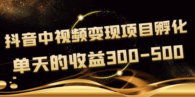 黄岛主《抖音中视频变现项目孵化》单天的收益300-500 操作简单粗暴-往来项目网