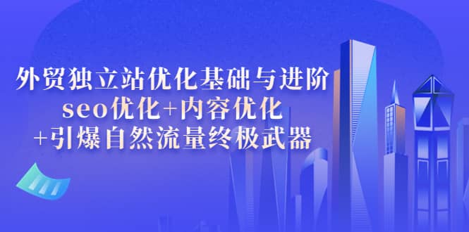 外贸独立站优化基础与进阶，seo优化 内容优化 引爆自然流量终极武器-往来项目网