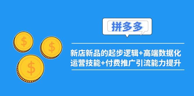 2022拼多多：新店新品的起步逻辑 高端数据化运营技能 付费推广引流能力提升-往来项目网