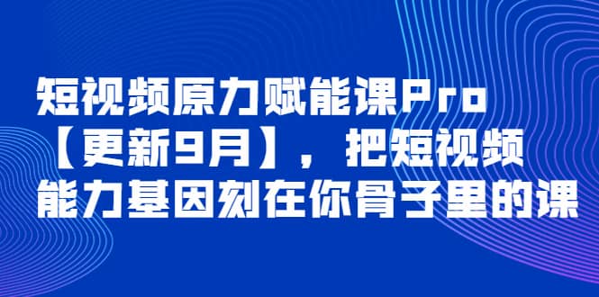 短视频原力赋能课Pro【更新9月】，把短视频能力基因刻在你骨子里的课-往来项目网