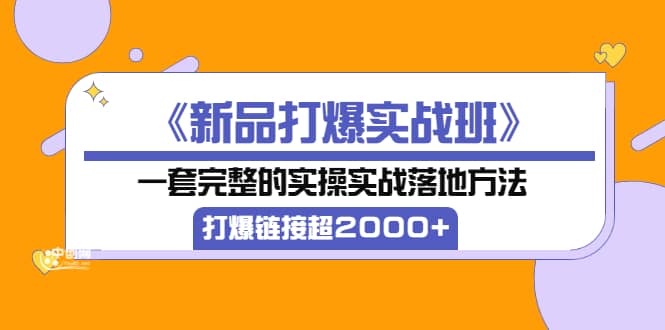 《新品打爆实战班》一套完整的实操实战落地方法，打爆链接超2000 （38节课)-往来项目网