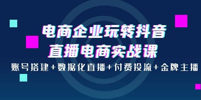 电商企业玩转抖音直播电商实战课：账号搭建 数据化直播 付费投流 金牌主播-往来项目网