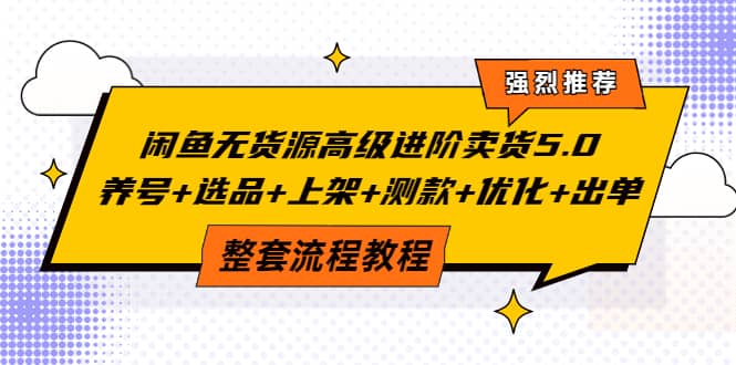 闲鱼无货源高级进阶卖货5.0，养号 选品 上架 测款 优化 出单整套流程教程-往来项目网