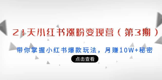 21天小红书涨粉变现营（第3期）：带你掌握小红书爆款玩法，月赚10W 秘密-往来项目网