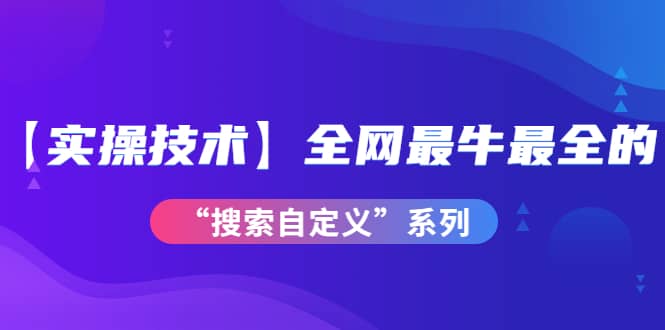 【实操技术】全网最牛最全的“搜索自定义”系列！价值698元-往来项目网