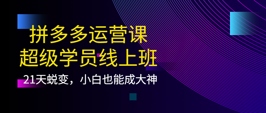 拼多多运营课：超级学员线上班，21天蜕变，小白也能成大神-往来项目网