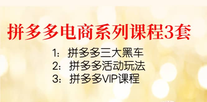 拼多多电商系列课程3套：拼多多三大黑车 拼多多活动玩法 拼多多VIP课程-往来项目网