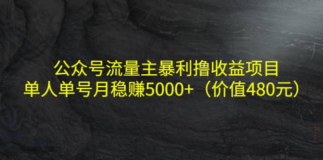 公众号流量主暴利撸收益项目，单人单号月稳赚5000 （价值480元）-往来项目网