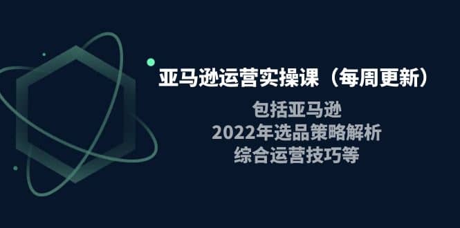 亚马逊运营实操课（每周更新）包括亚马逊2022选品策略解析，综合运营技巧等-往来项目网