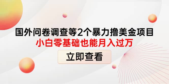 国外问卷调查等2个暴力撸美元项目，小白零基础也能月入过万-往来项目网