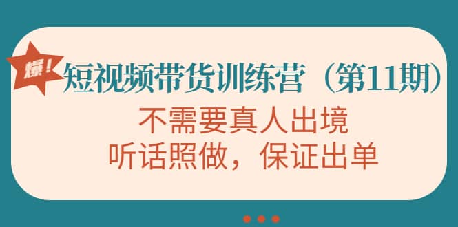 短视频带货训练营（第11期），不需要真人出境，听话照做，保证出单-往来项目网