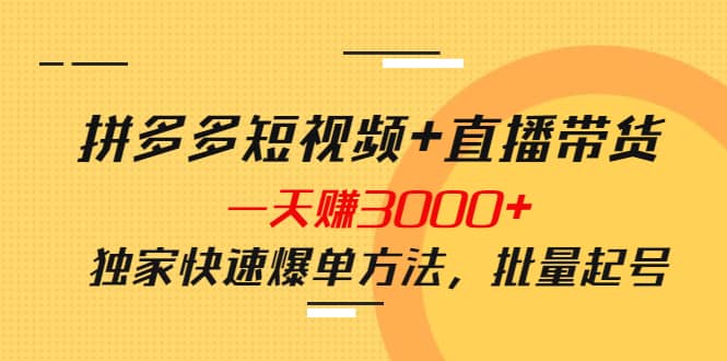 拼多多短视频 直播带货，一天赚3000 独家快速爆单方法，批量起号-往来项目网