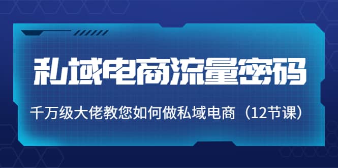 私域电商流量密码：千万级大佬教您如何做私域电商（12节课）-往来项目网