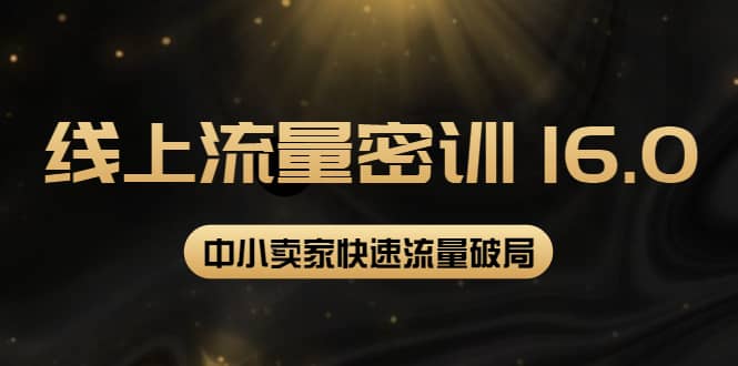 2022秋秋线上流量密训16.0：包含 暴力引流10W 中小卖家流量破局技巧 等等！-往来项目网