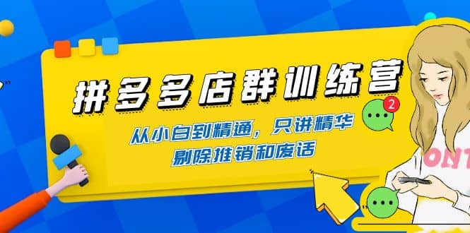 拼多多店群训练营：从小白到精通，只讲精华，剔除推销和废话-往来项目网