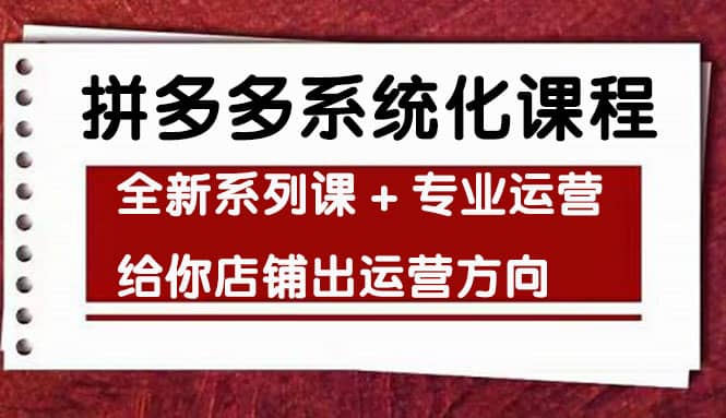 车神陪跑，拼多多系统化课程，全新系列课 专业运营给你店铺出运营方向-往来项目网