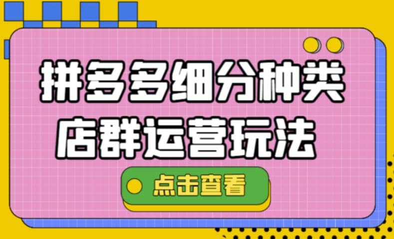 拼多多细分种类店群运营玩法3.0，11月最新玩法，小白也可以操作-往来项目网