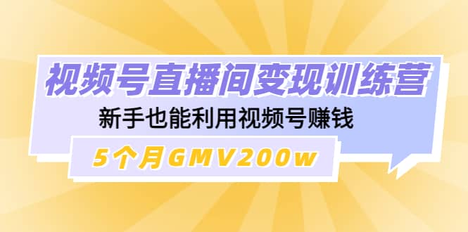 视频号直播间变现训练营-往来项目网