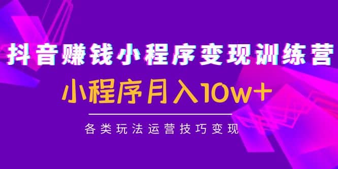 抖音小程序变现训练营：小程序各类玩法运营技巧变现-往来项目网