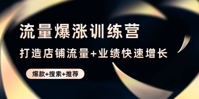 流量爆涨训练营：打造店铺流量 业绩快速增长 (爆款 搜索 推荐)-往来项目网