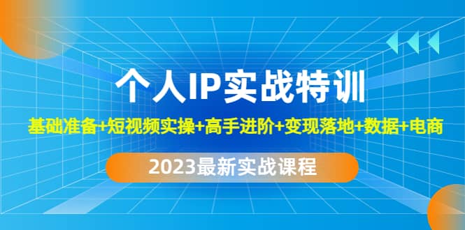 2023个人IP实战特训：基础准备 短视频实操 高手进阶 变现落地 数据 电商-往来项目网